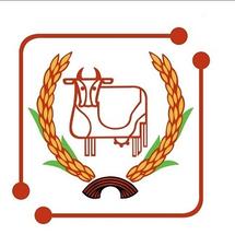 Logo Wonderindo