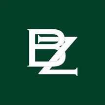 Logo Bizzarpillow