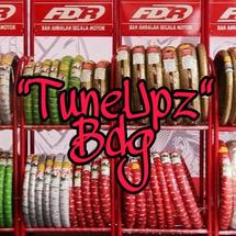 Logo tuneupz