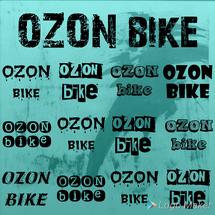 Logo Ozon Bike
