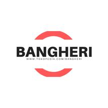 Logo BANGHERI