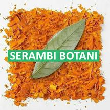 Logo Serambi Botani Official