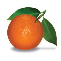 Logo ORANGE SANS