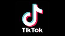 Logo Tiktokpedia