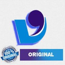 Logo viresiliconindonesia