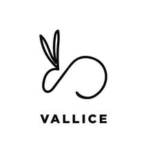 Logo Vallice Official Store