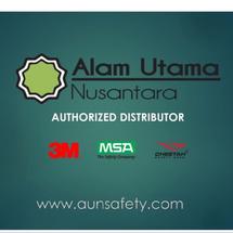 Logo Aunsafety