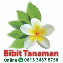 Logo Bibit Tanaman Online