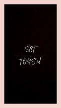 Logo SBT Toys
