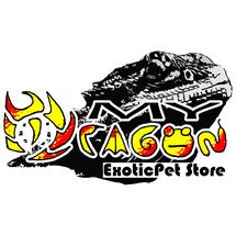 Logo MYDragon