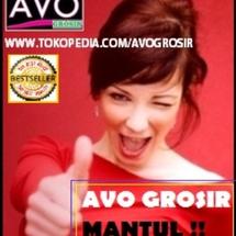 Logo AVO Grosir