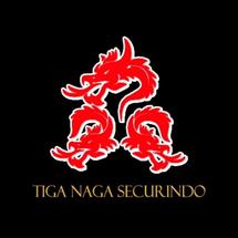 Logo TNS CCTV