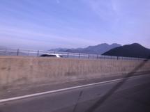 Logo JPeter colection