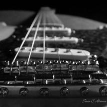 Logo Fan Guitar Shop