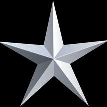 Logo Platinum Star