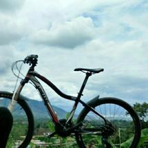 Logo Lady bike pink