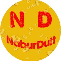 Logo naburduit