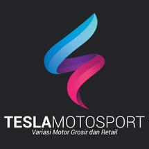 Logo TESLA motosport