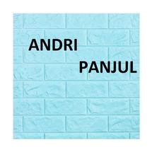 Logo andri panjul