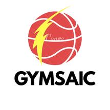 Logo Gymsaic99