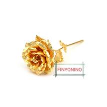 Logo finyonino