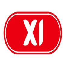 Logo XI Official Store