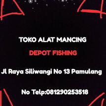 Logo Depot Fishing