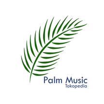 Logo Palm Music