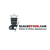 Logo slalustockcam