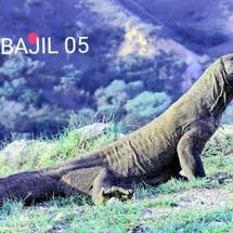 Logo BAJIL 05