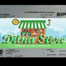 Logo Dilna Store