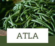Logo ATLA