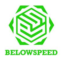 Logo Belowspeed Motors