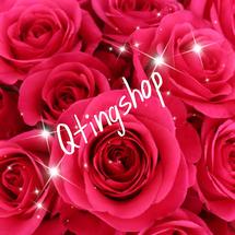 Logo QTINGSHOP