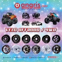 Logo AngRis