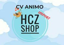 Logo hczimport