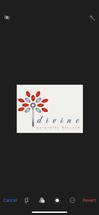 Logo Divine Naturally Blessed