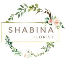 Logo Shabina