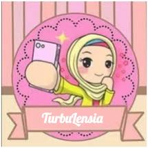Logo Turbulensia