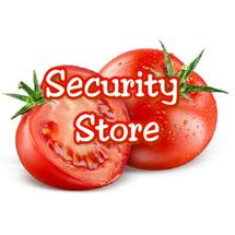 Logo securitystore