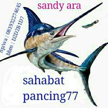Logo sahabat pancing77