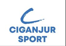 Logo CGR Sport