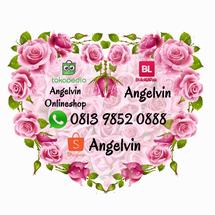 Logo Angelvin