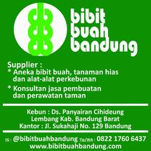 Logo Made in bdg
