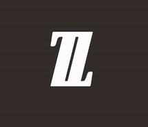 Logo ZZ STORE1
