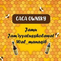 Logo Caca Ownsky