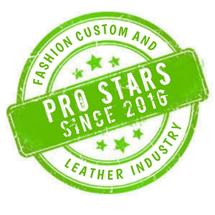 Logo New Pro Star