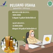 Logo LEDISHOP123