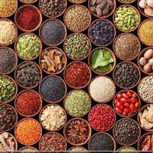 Logo natama ingredients