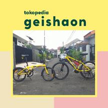 Logo geishaon